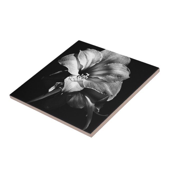SVART OCH VIT AMARYLLIS KAKELPLATTA (Sidan)