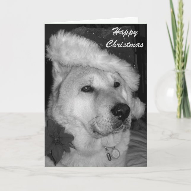 Svart och vit bild i hund, klädd till Santa Helgkort (Framsida)