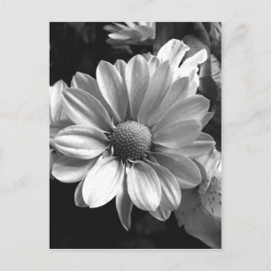 Svart och vit blomfoto vykort