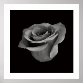Svart och Vit Blomfotografering Poster