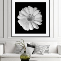 Svart och vit blomfotografering Poster