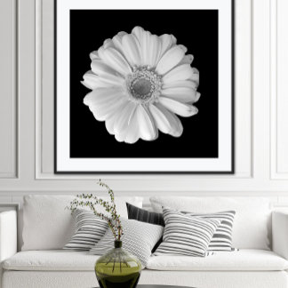 Svart och vit blomfotografering Poster