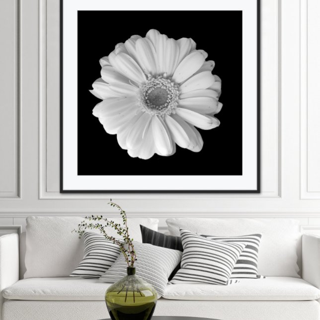 Svart och vit blomfotografering Poster (Skapare uppladdad)