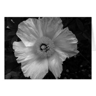 Svart och vit blomma hälsningskort