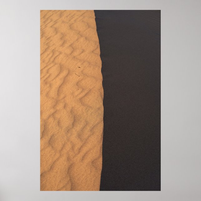 Svart och vit blommigt poster (Framsidan)