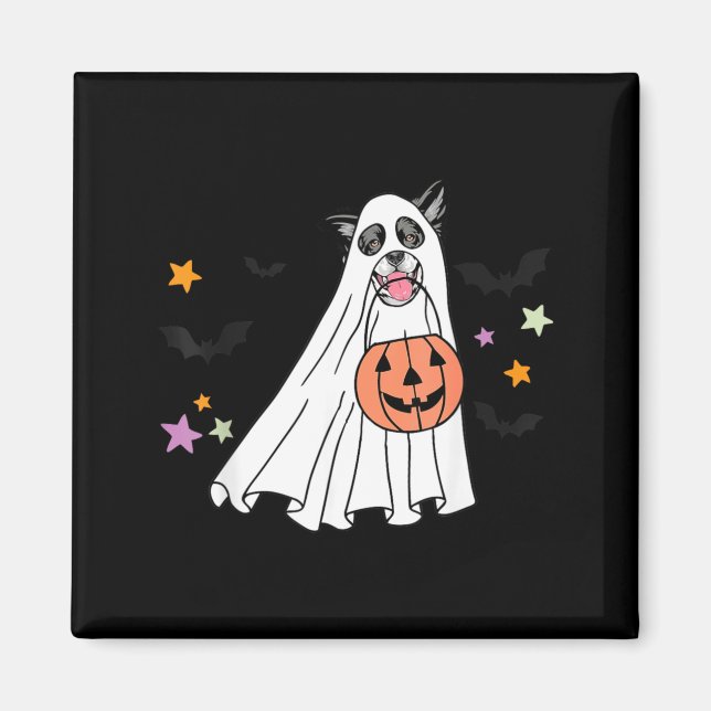 Svart Och Vit Border Collie Boo Hund Halloween Magnet (Framsidan)