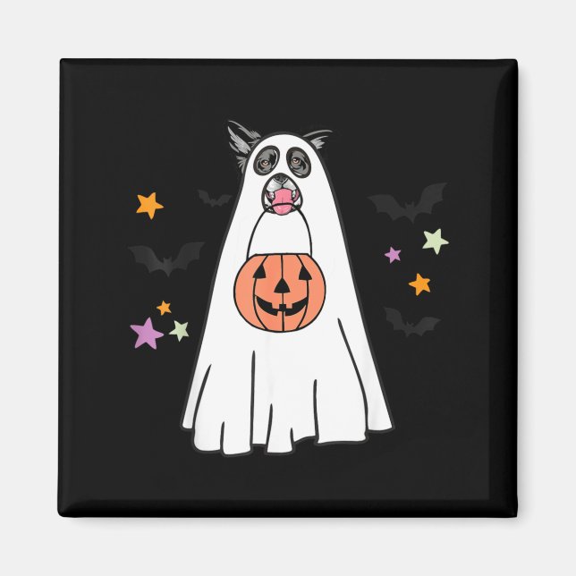 Svart Och Vit Border Collie Hund Boo Halloween Magnet (Framsidan)