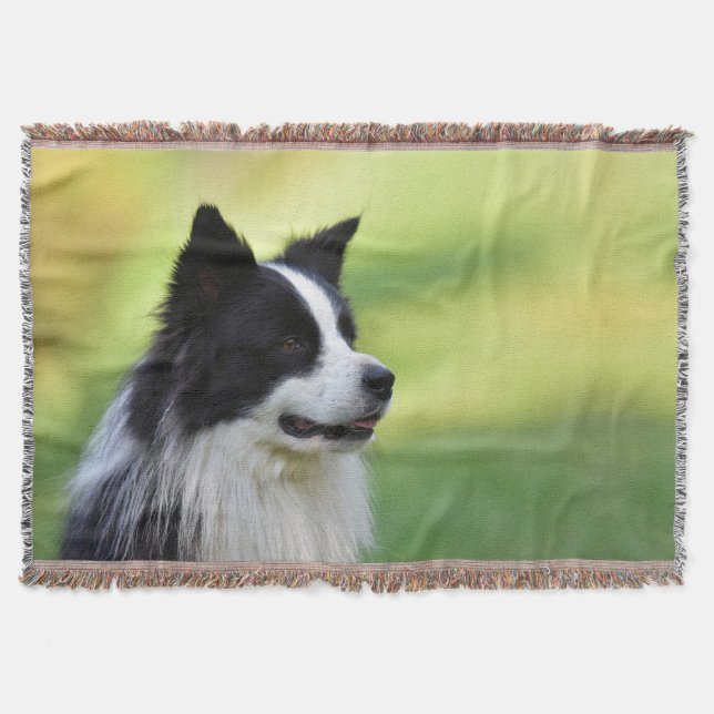 Svart och vit border collie hund filt (Framsidan)