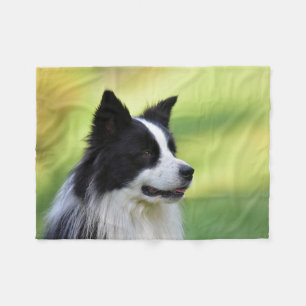 Svart och vit border collie hund fleecefilt