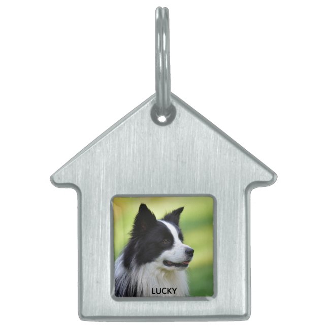 Svart och vit border collie hund ID-bricka husdjur (Framsidan)