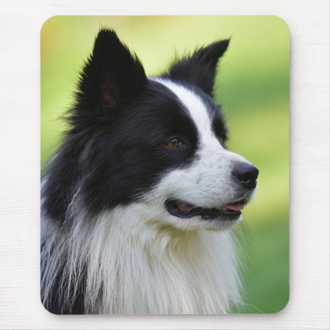 Svart och vit border collie hund musmatta (Framsidan)