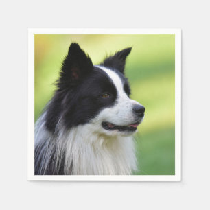 Svart och vit border collie hund pappersservett