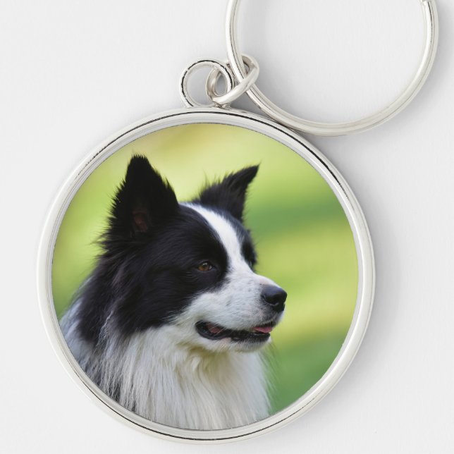 Svart och vit border collie hund rund silverfärgad nyckelring (Framsidan)