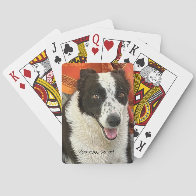 Svart och vit Border Collie Spelkort (Baksidan)