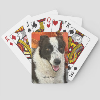 Svart och vit Border Collie Spelkort