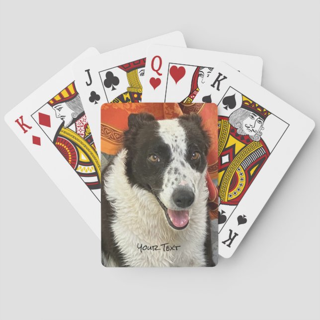 Svart och vit Border Collie Spelkort (Baksidan)