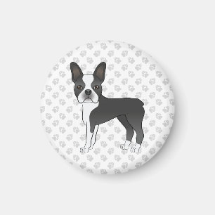 Svart Och Vit Boston Terrier Tecknad Hund & Tassar Magnet