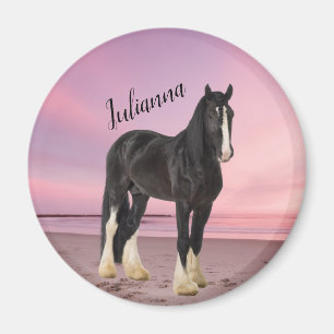 Svart och vit Clydesdale på stranden vid solnedgån Magnet