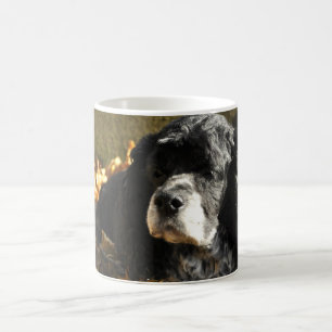 Svart och vit Cocker Spaniel Foto Kaffemugg