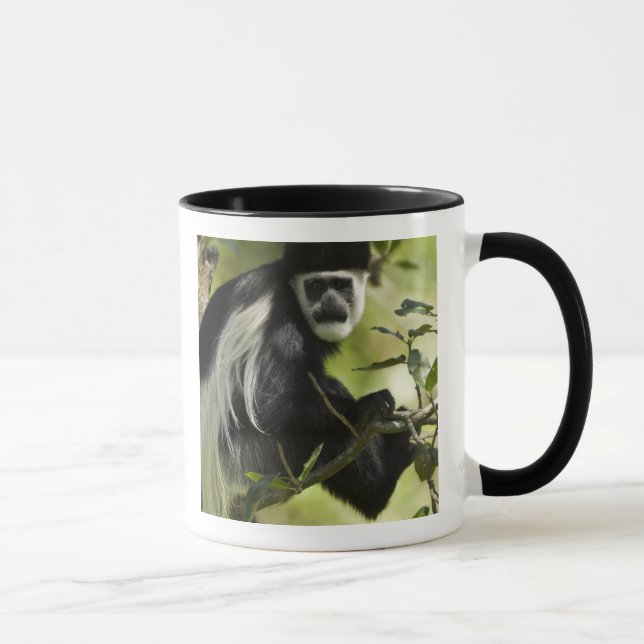 Svart och vit colobus mugg (Höger)