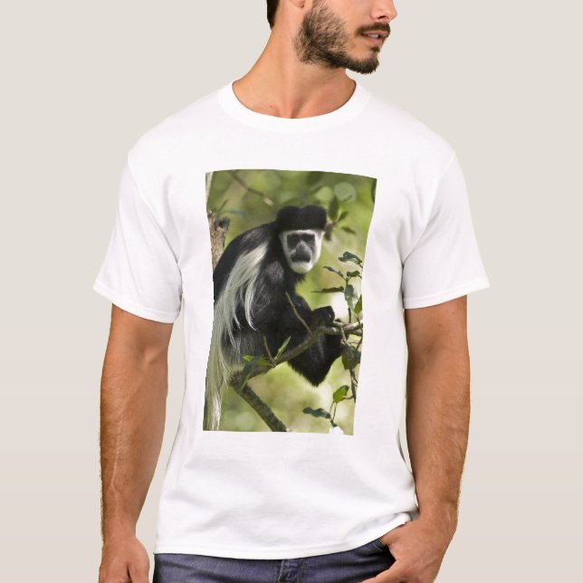 Svart och vit colobus tee (Framsida)