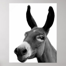 Svart och vit donkey, lustigt peekaboo-djurfoto poster