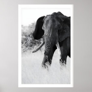 Svart och Vit Elefanttryck - Minimalistisk Poster