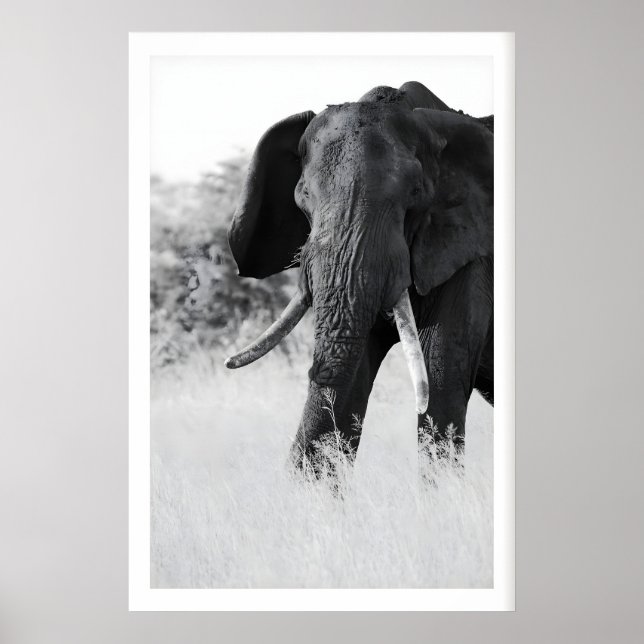 Svart och Vit Elefanttryck - Minimalistisk Poster (Framsidan)