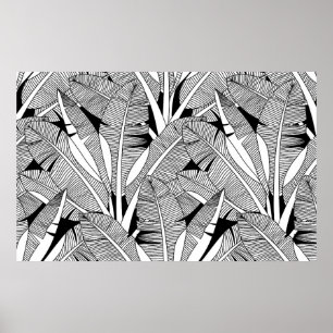 Svart och vit exotisk växt och botaniska växter fr poster