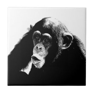 Svart och vit Fantastisk Chimpanzans-poppkonst Kakelplatta