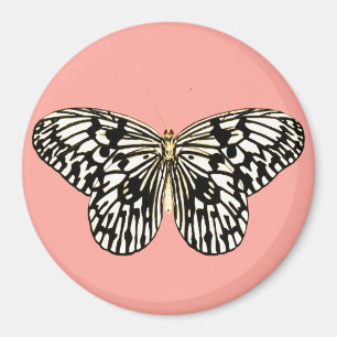 Svart och vit fjäril, korall rosa, bakgrund magnet