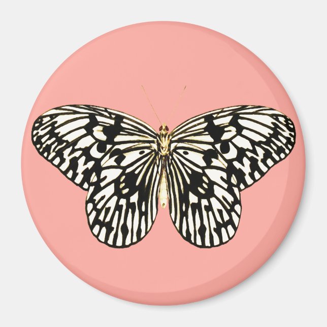 Svart och vit fjäril, korall rosa, bakgrund magnet (Framsidan)