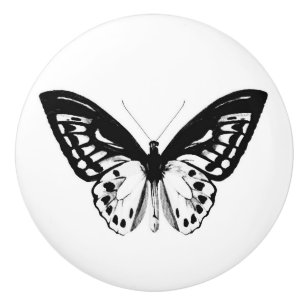 Svart och vit fjärilskiss knopp