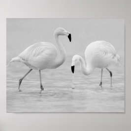 Svart och vit Flamingo Tropical Printable Art Poster