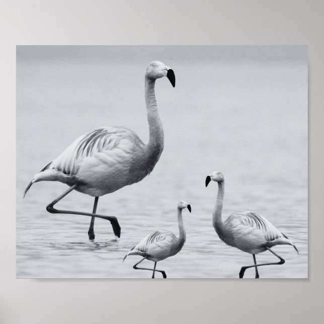 Svart och vit Flamingo Tropical Printable Art Poster (Framsidan)
