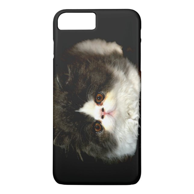 Svart och vit fluffy kitten Case-Mate iPhone skal (Baksida)