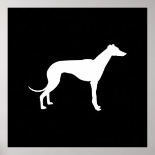 Svart och vit form av Greyhound Poster