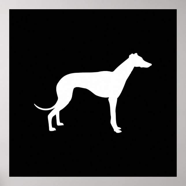 Svart och vit form av Greyhound Poster (Framsidan)