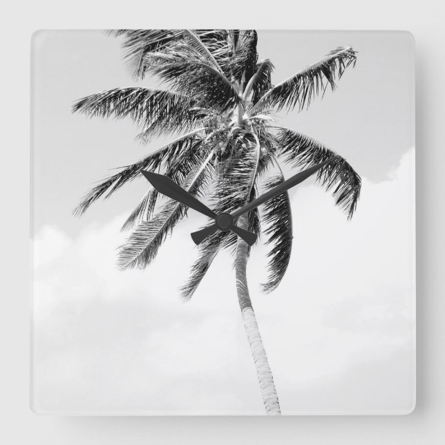 Svart och vit foto från Tropical handflatan träd Fyrkantig Klocka (Framsida)