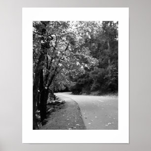 Svart och vit fotografi på hösten Road Yosemite Poster