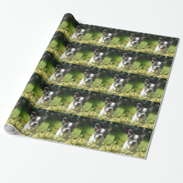 Svart och vit fransk bulldoggvalp presentpapper