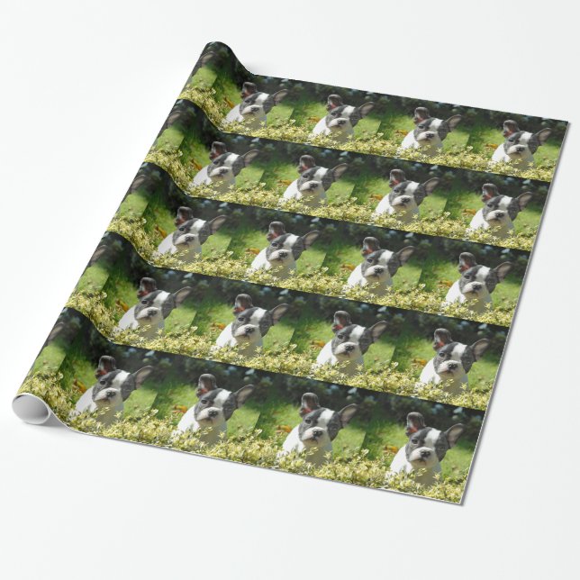 Svart och vit fransk bulldoggvalp presentpapper (Utrullad)