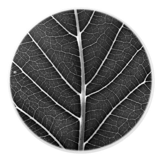 Svart och vit glödande löv nära knopp (Framsidan)