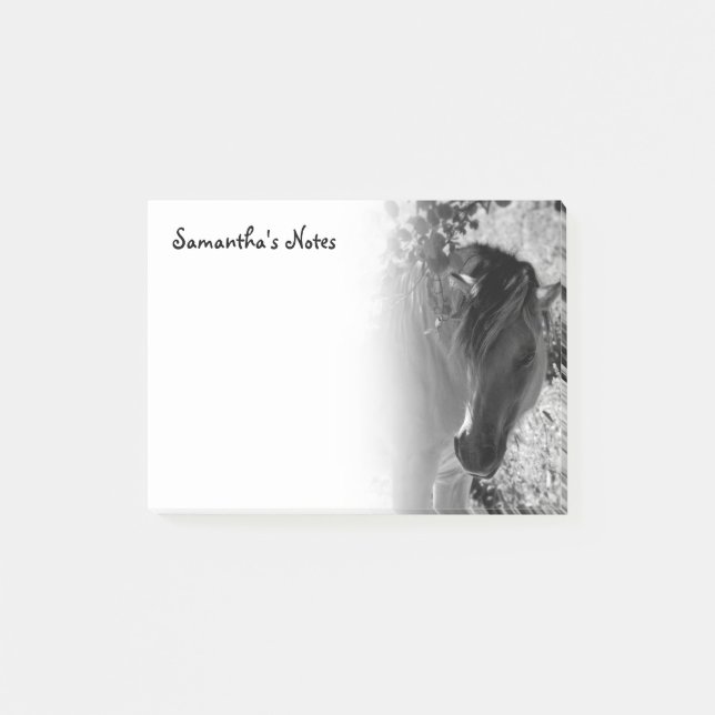 Svart och vit häst Post-it Notes (Framsida)