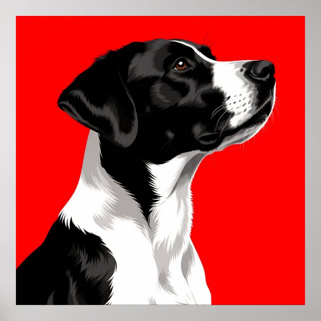 Svart och vit hund på djärkröd bakgrund poster (Framsidan)