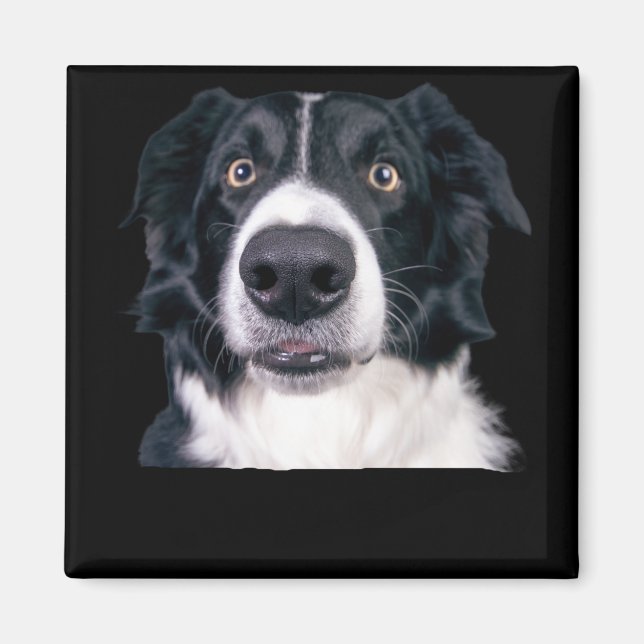 Svart och vit hundansikte magnet (Framsidan)