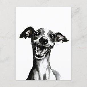 Svart och vit Iggy Cute Italienska greyhound Vykort