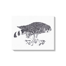 Svart och vit illustration av Sparrow Hawk