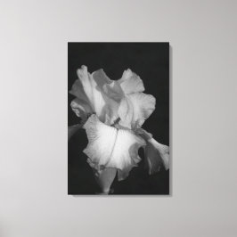 Svart och vit Iris Blommig Foto Canvastryck
