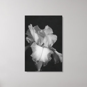 Svart och vit Iris Blommig Foto Canvastryck
